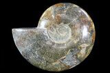Polished, Agatized Ammonite (Cleoniceras) - Madagascar #72880-1